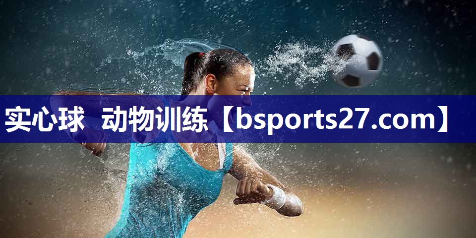 实心球 动物训练
